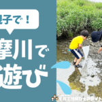 親子で一緒に!多摩川で川遊びしてきた!
