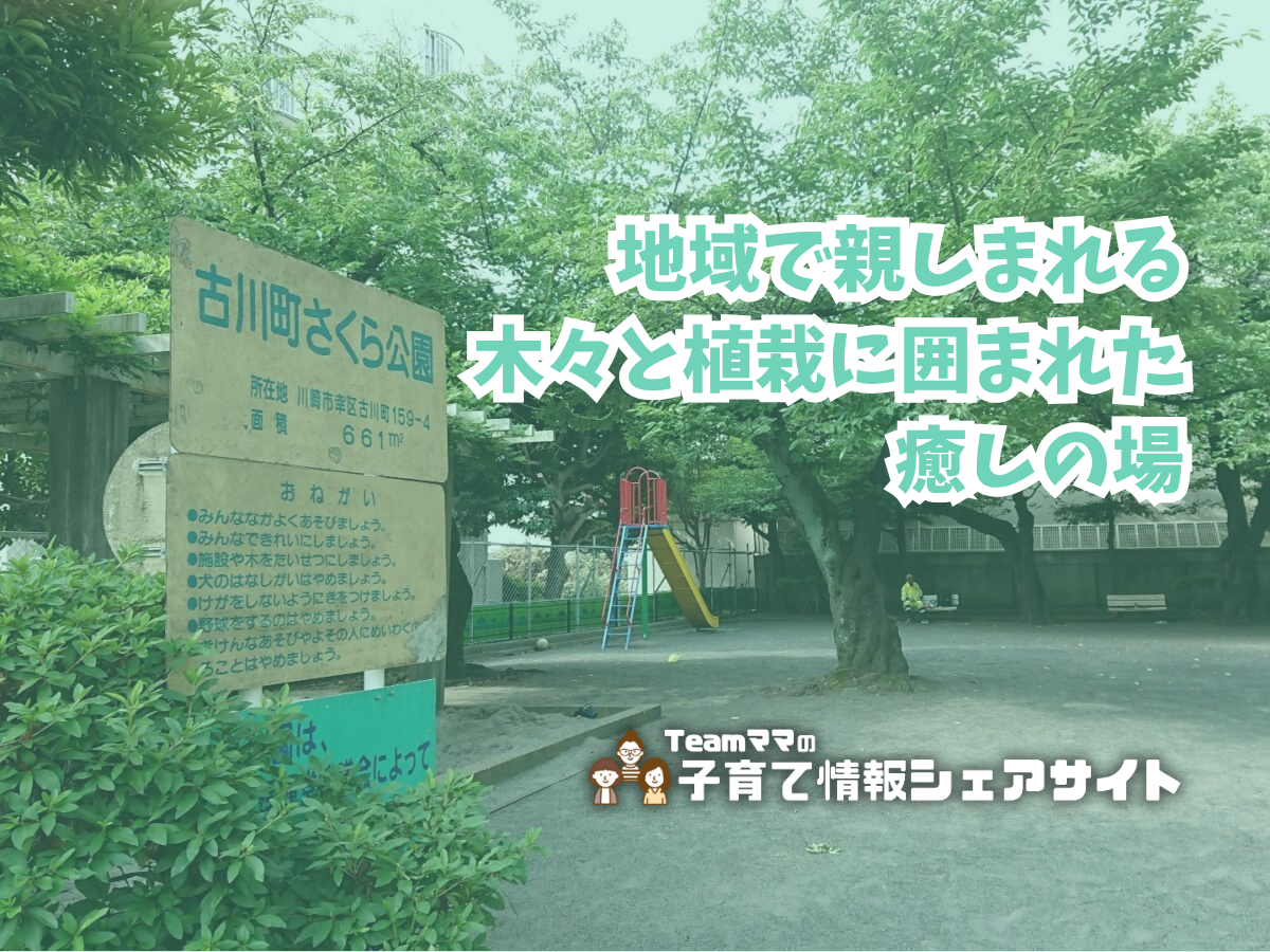 古川町さくら公園の看板