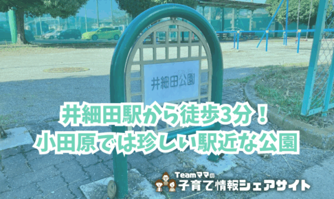 井細田公園の看板