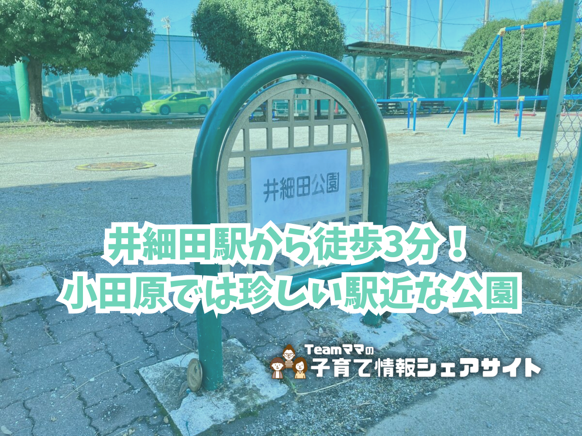 井細田公園の看板