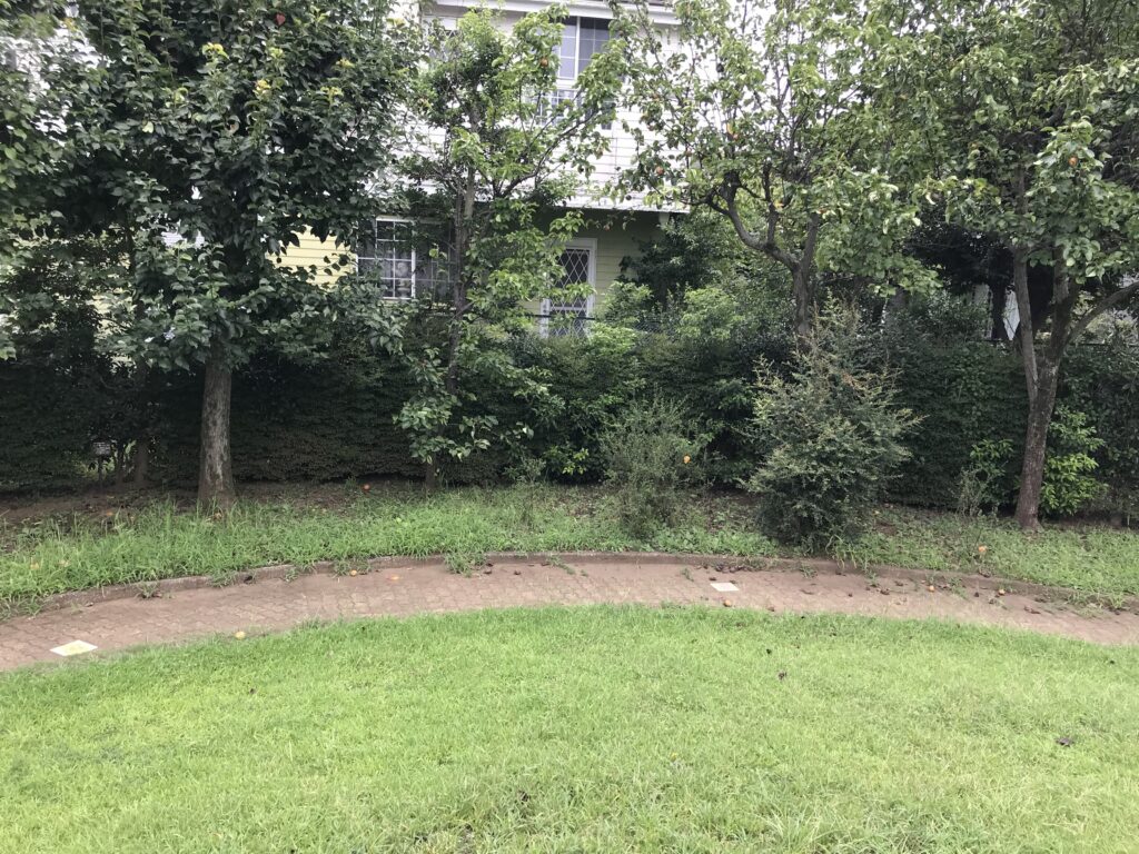 梨の花公園の散策エリア