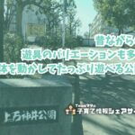 上石神井公園の看板