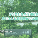 むくのき公園の看板