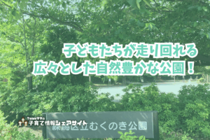 むくのき公園の看板