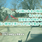 西大泉中央児童公園の看板