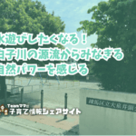 大泉井頭公園の看板