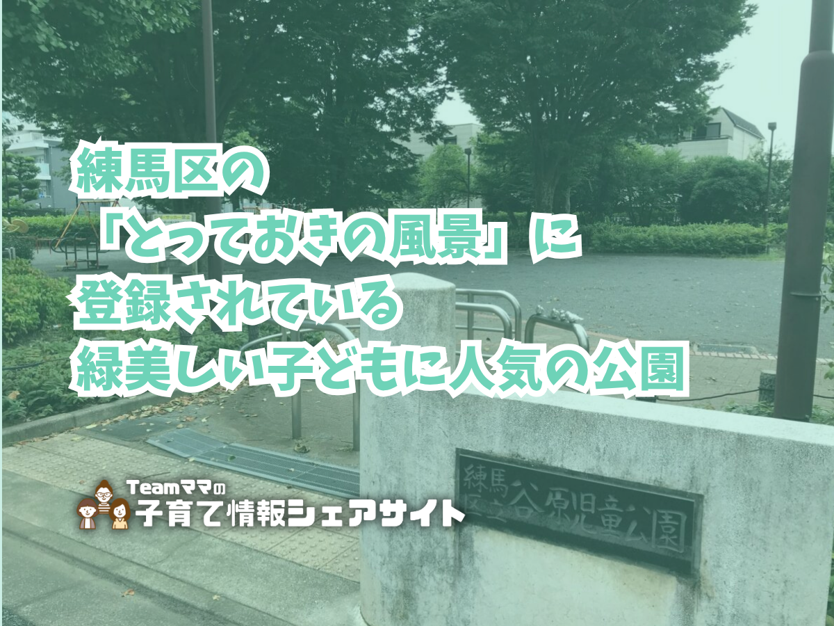 谷原児童公園の看板