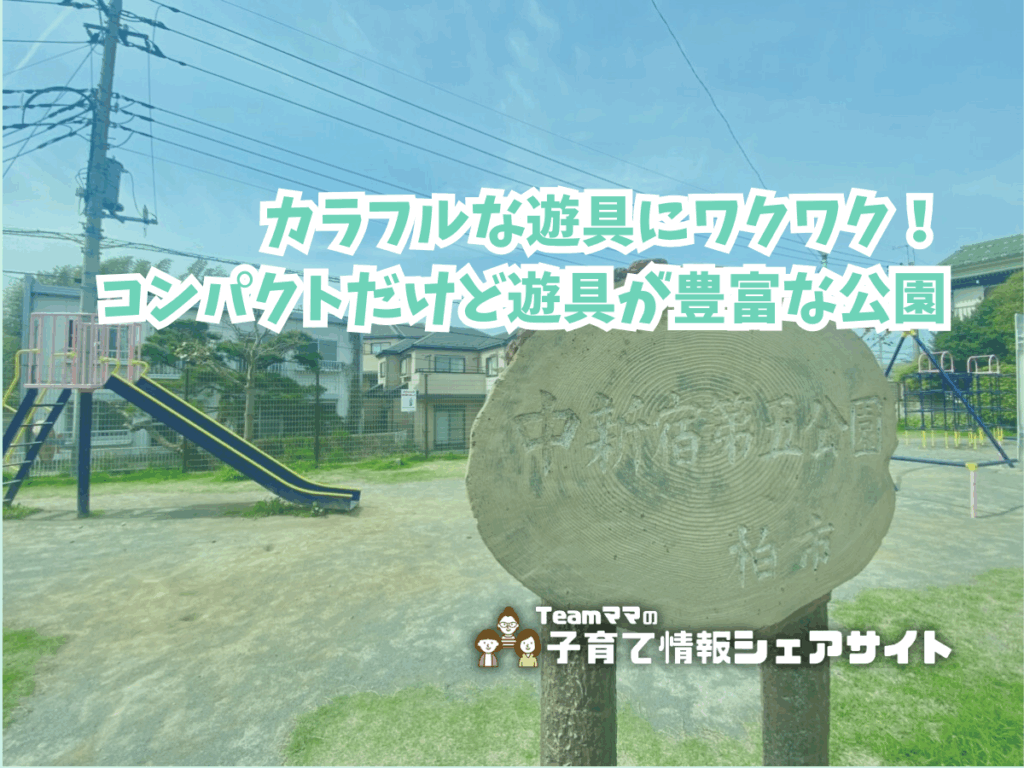 中新宿第五公園