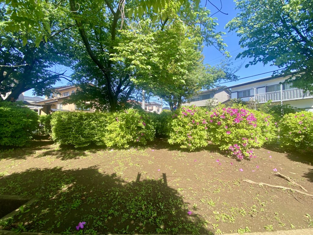 加賀第一公園の植栽