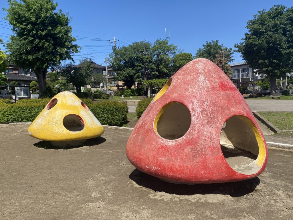 加賀第一公園のきのこ