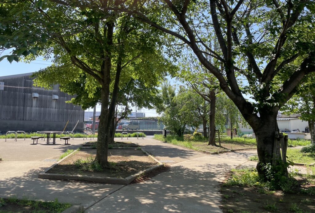 柏たなか第三公園の木陰