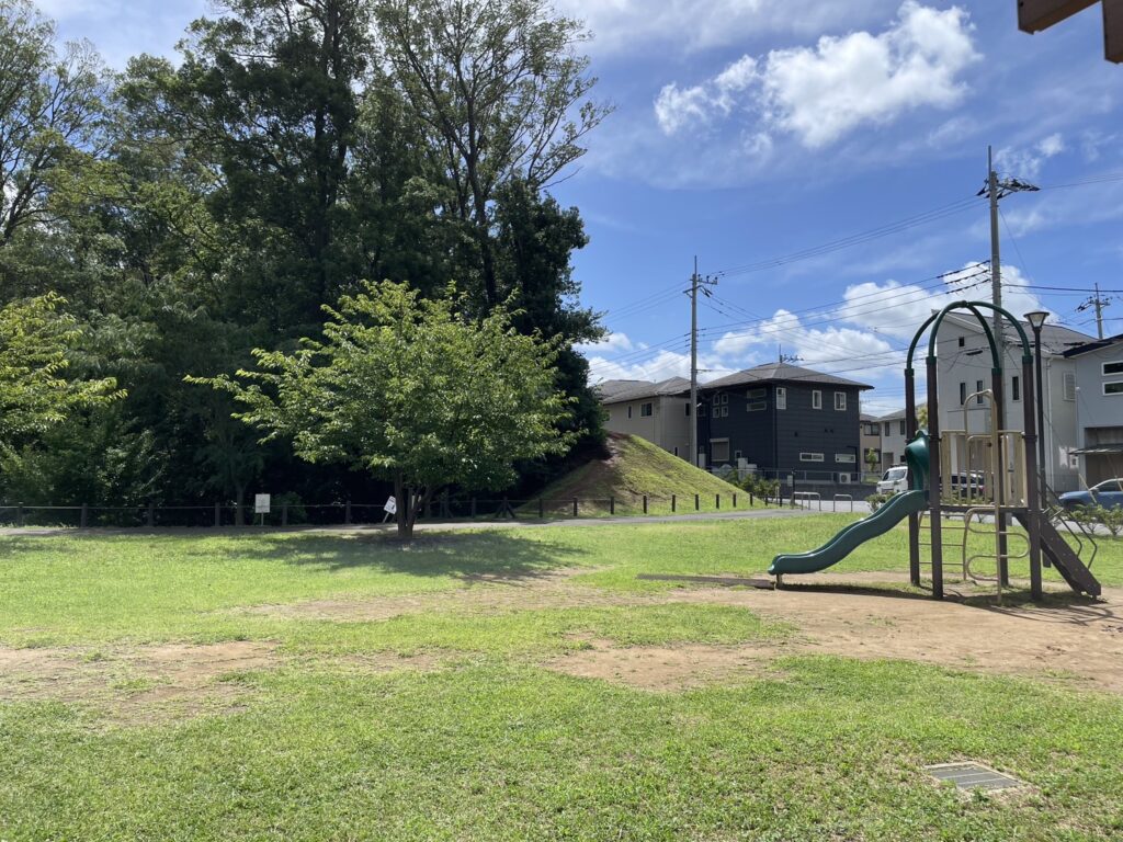 柏たなか緑地の全景