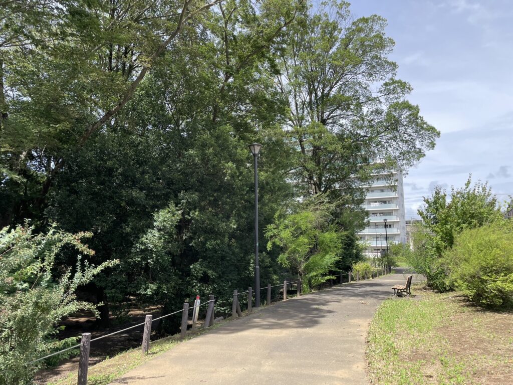 柏たなか緑地の小道