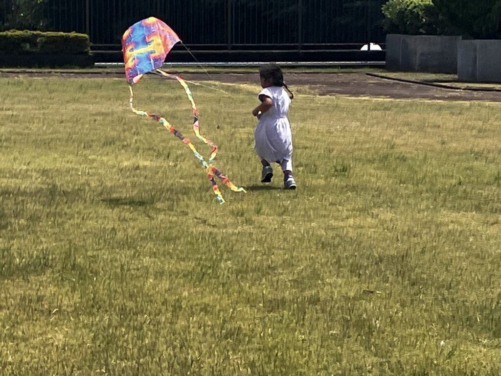 秋の公園遊びに！3〜6歳向け大きなシャボン玉＆カイトのポケットカイトで遊ぶ3歳