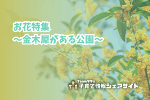 お花特集〜金木犀がある公園〜のアイキャッチ