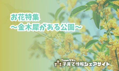 お花特集〜金木犀がある公園〜のアイキャッチ