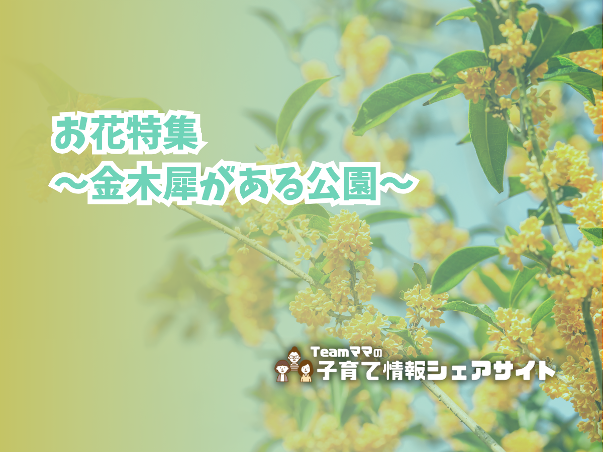 お花特集〜金木犀がある公園〜のアイキャッチ