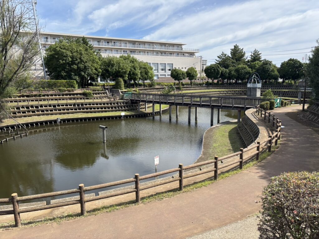 若柴中央公園の池全体