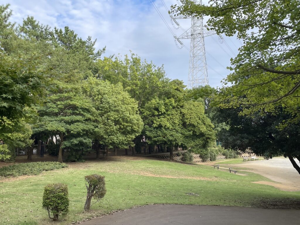松ヶ崎中央公園の芝生
