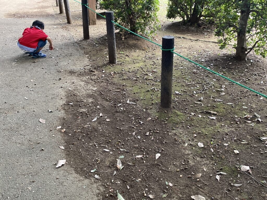 松ヶ崎中央公園の小道と子ども