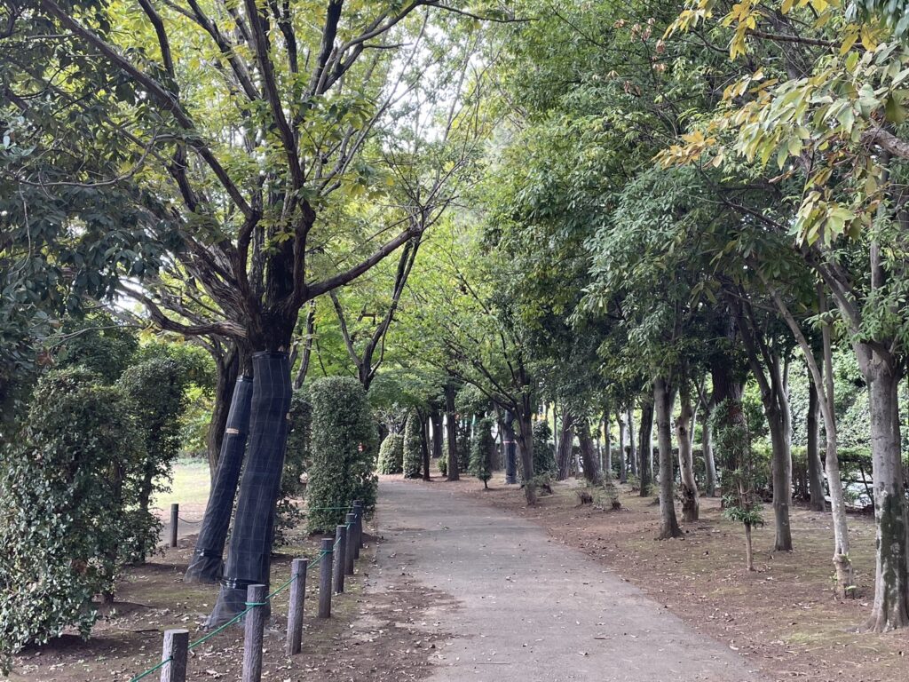 松ヶ崎中央公園の小道