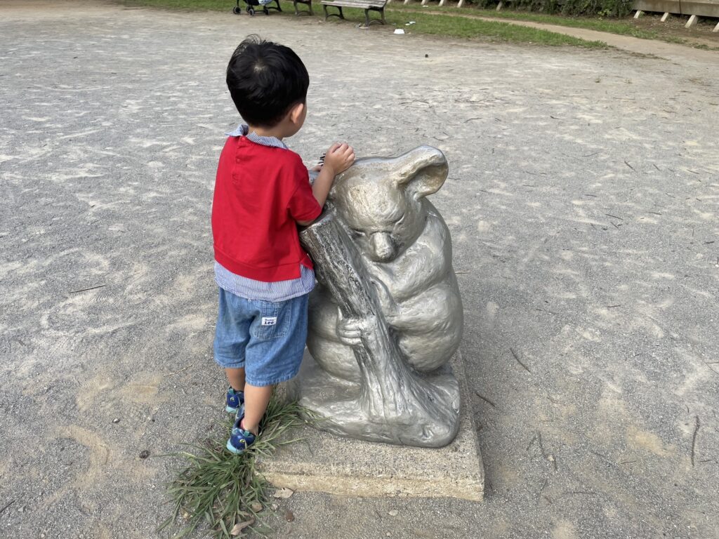 松ヶ崎中央公園の動物の公園コアラ