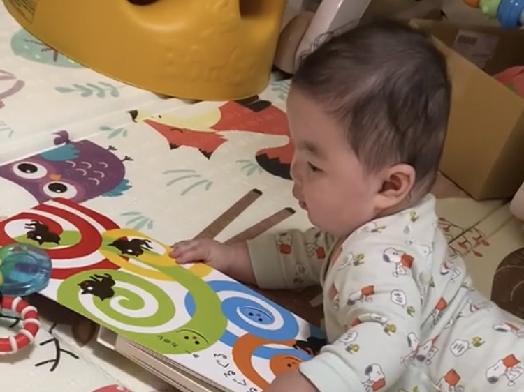 【前編】0歳〜1歳におすすめ！我が子が夢中になった知育絵本10選のまとめ