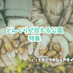 どんぐりが拾える公園特集アイキャッチ