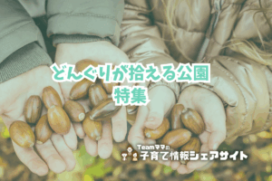どんぐりが拾える公園特集アイキャッチ