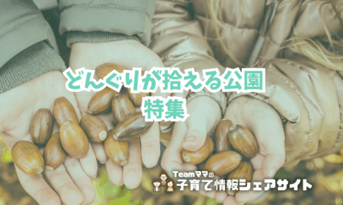 どんぐりが拾える公園特集アイキャッチ