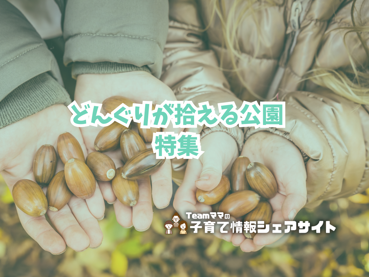 どんぐりが拾える公園特集アイキャッチ