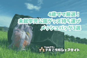 4歳ママ厳選！未就学児公園グッズ持ち運びメッシュバッグ3選のアイキャッチ