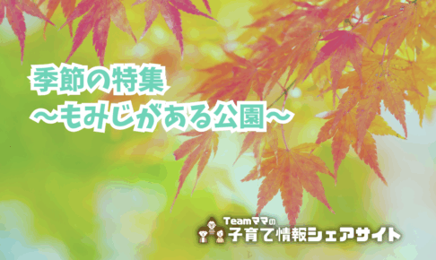 季節の特集～もみじがある公園～のアイキャッチ