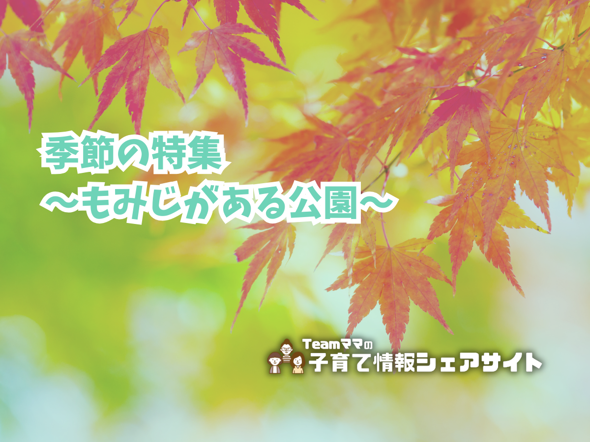 季節の特集~もみじがある公園~のアイキャッチ