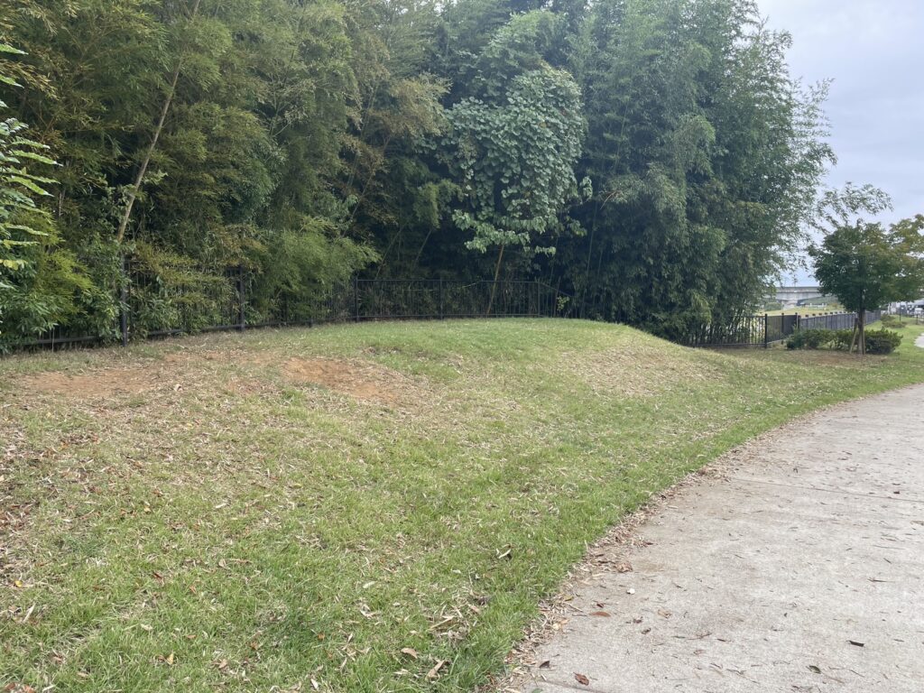 柏たなか北公園の土手