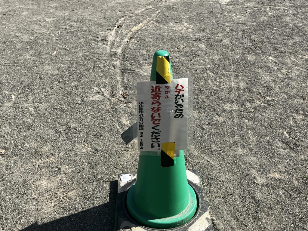 金田公園の蜂注意