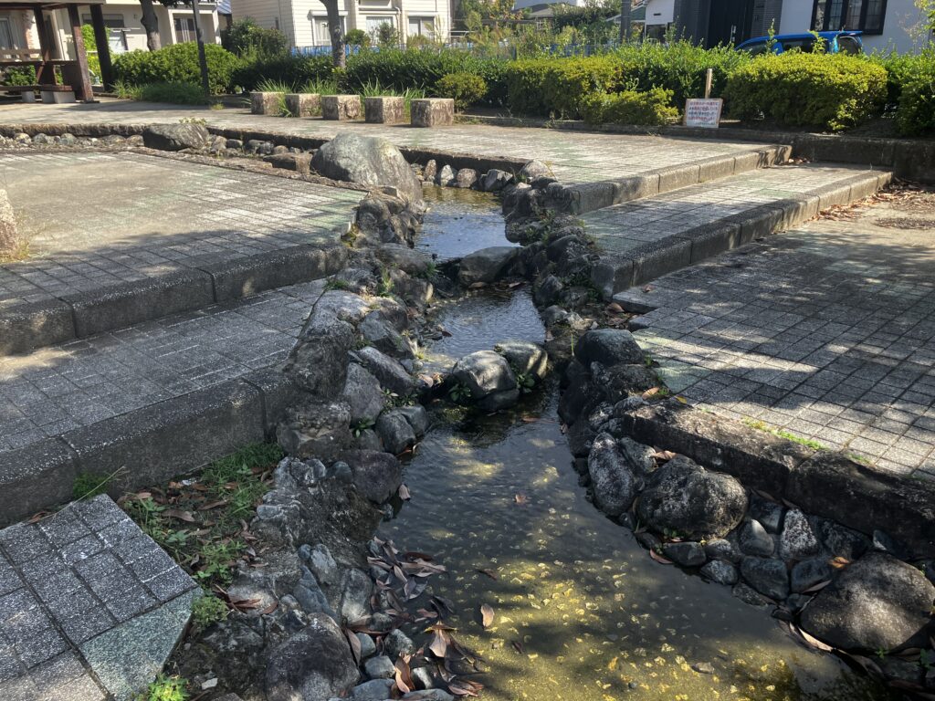 金田公園の小川