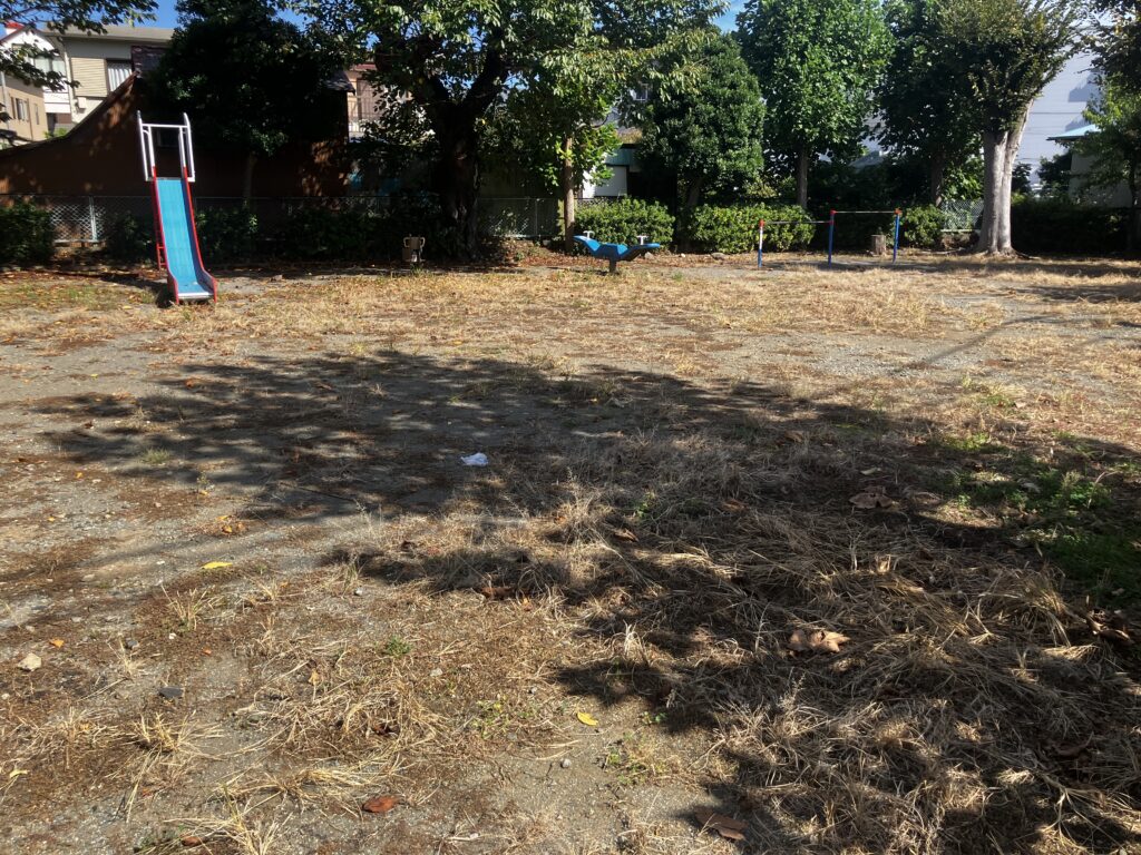 足柄第一公園の広場