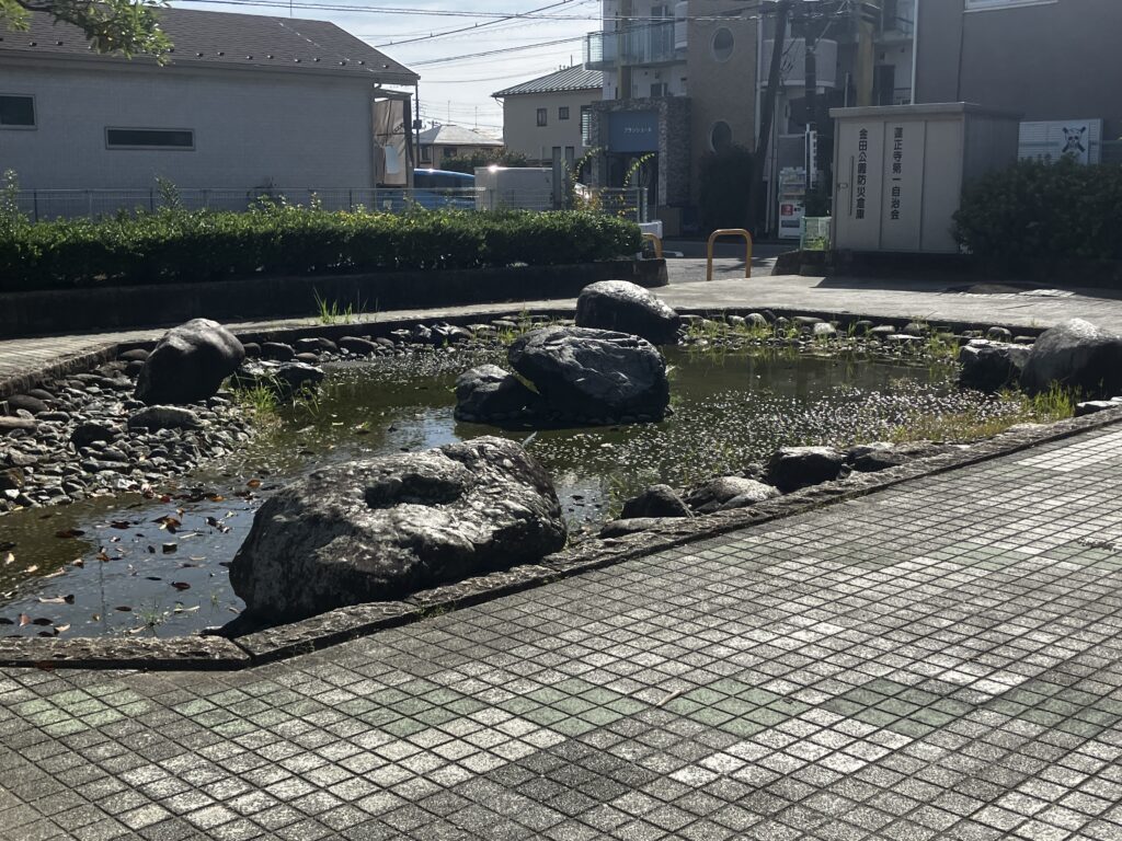 金田公園の池
