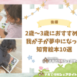 【後編】2歳〜3歳におすすめ!我が子が夢中になった知育絵本10選のアイキャッチ