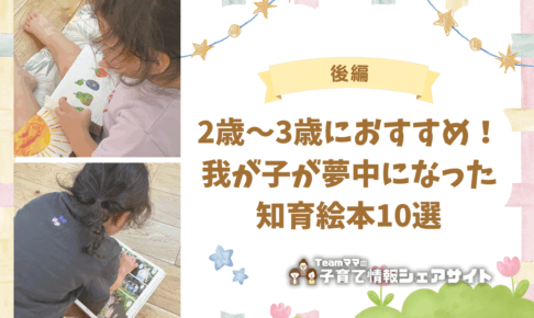 【後編】2歳〜3歳におすすめ！我が子が夢中になった知育絵本10選のアイキャッチ
