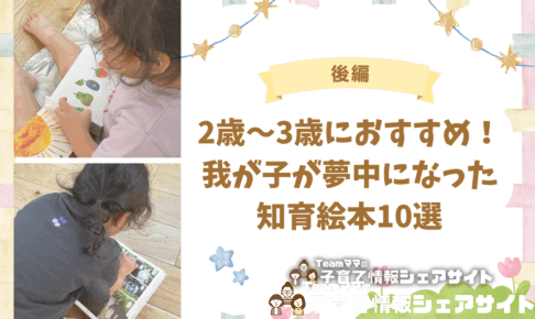 【後編】2歳〜3歳におすすめ!我が子が夢中になった知育絵本10選のアイキャッチ