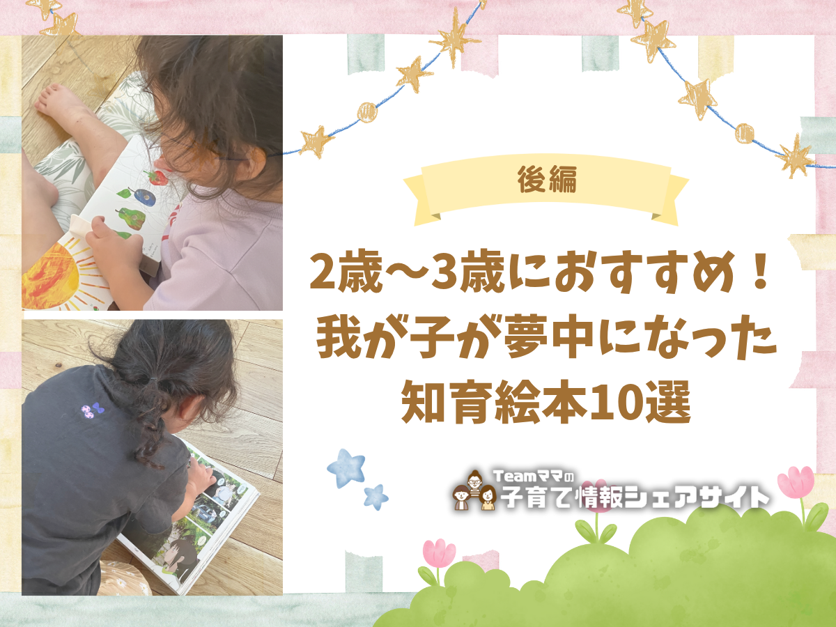 【後編】2歳〜3歳におすすめ！我が子が夢中になった知育絵本10選のアイキャッチ