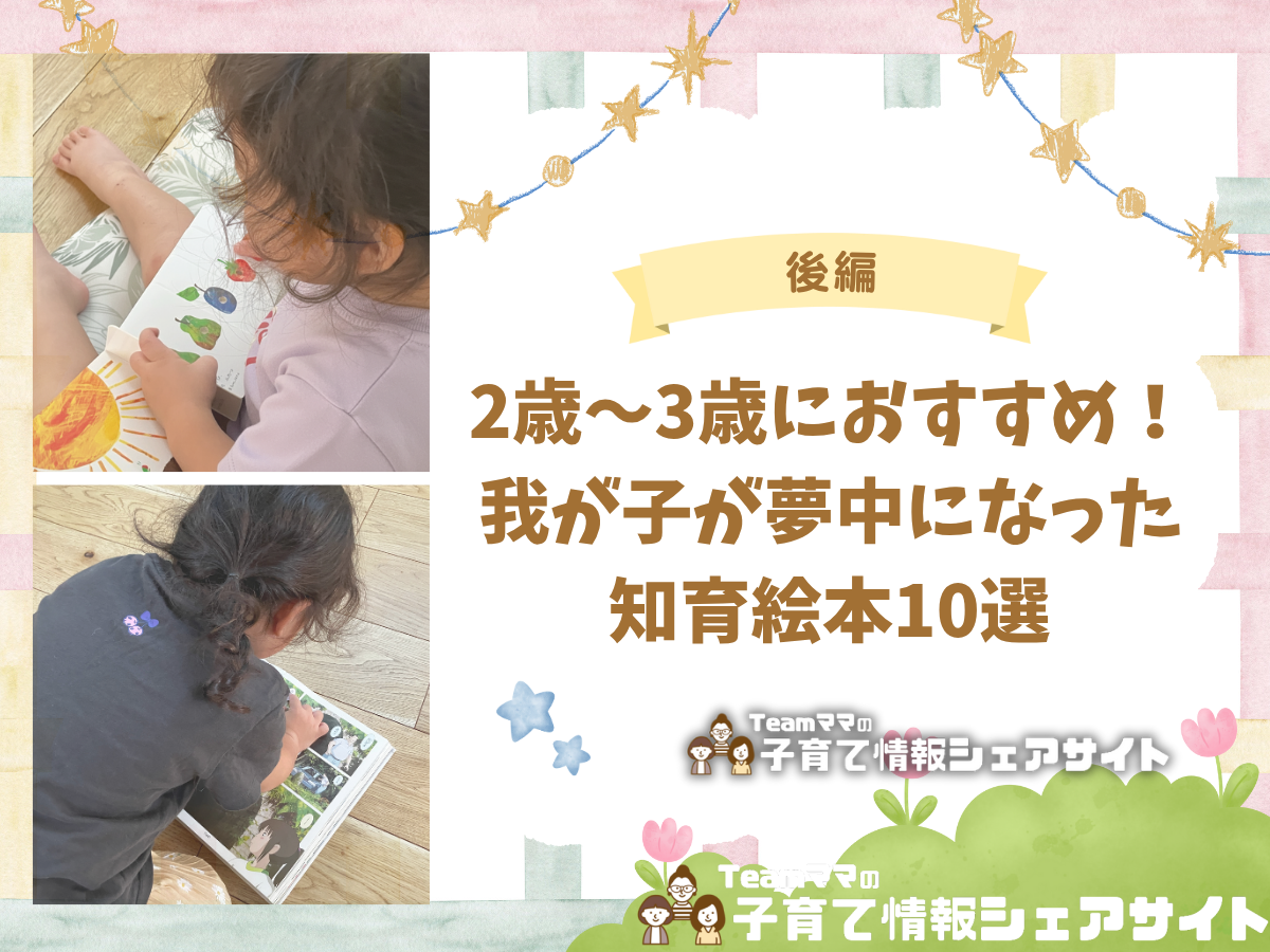 【後編】2歳〜3歳におすすめ!我が子が夢中になった知育絵本10選のアイキャッチ