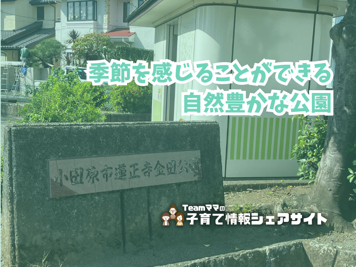 金田公園の看板