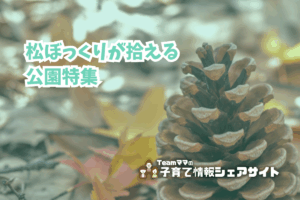 松ぼっくりが拾える公園特集のアイキャッチ