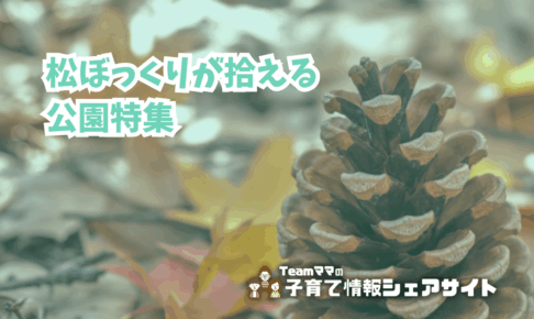 松ぼっくりが拾える公園特集のアイキャッチ