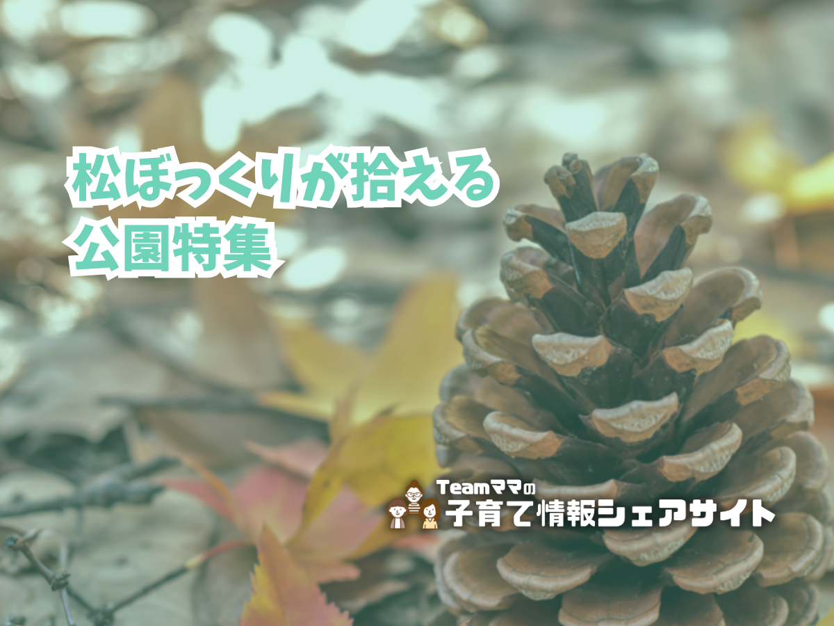 松ぼっくりが拾える公園特集のアイキャッチ