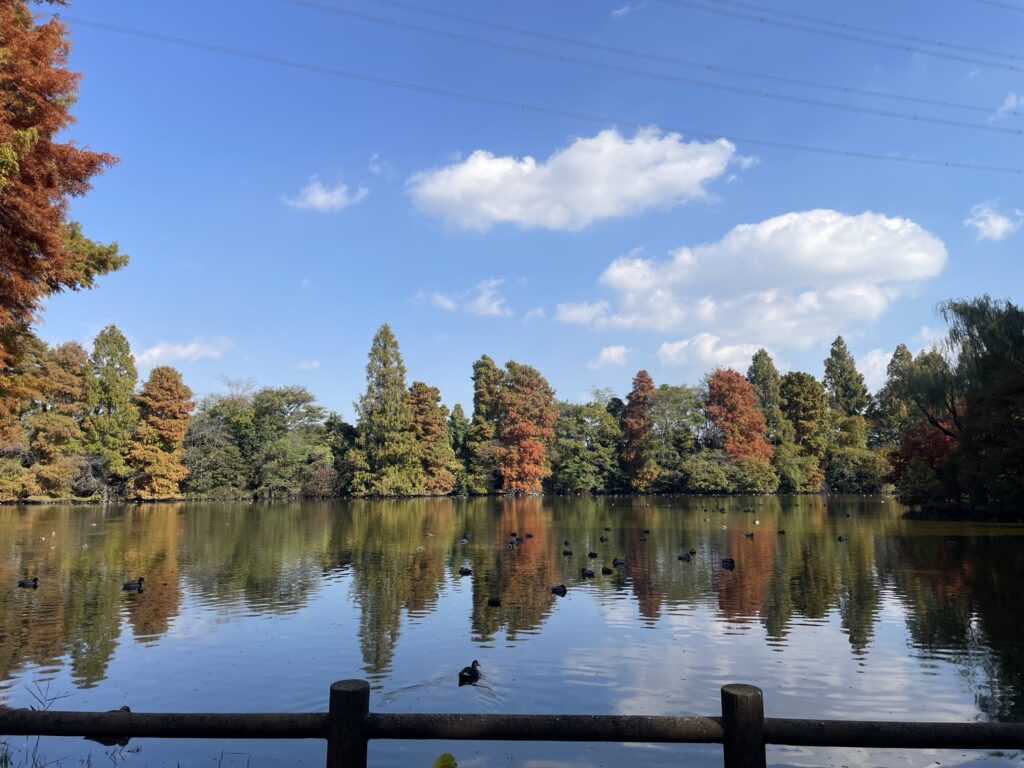 柏ビレジ水辺の公園・柏ビレジ第五公園の湖