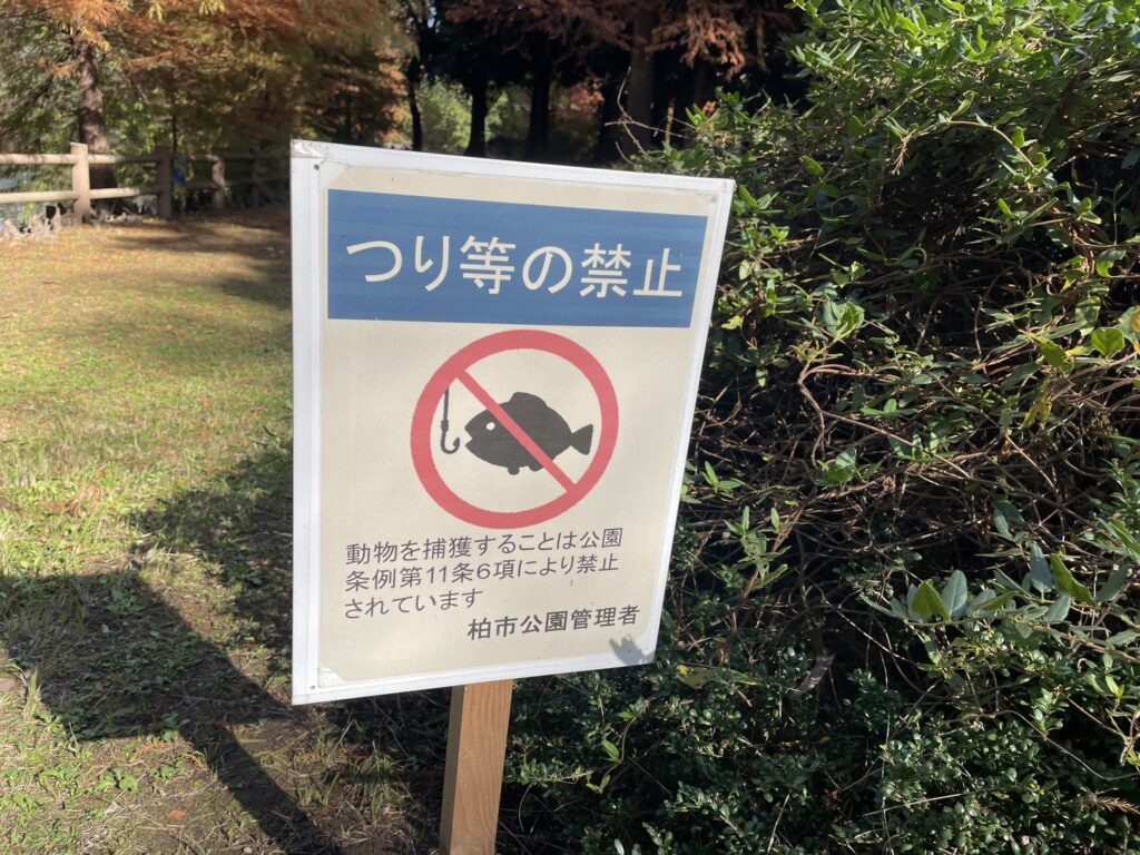 柏ビレジ水辺の公園・柏ビレジ第五公園の釣り禁止注意書き